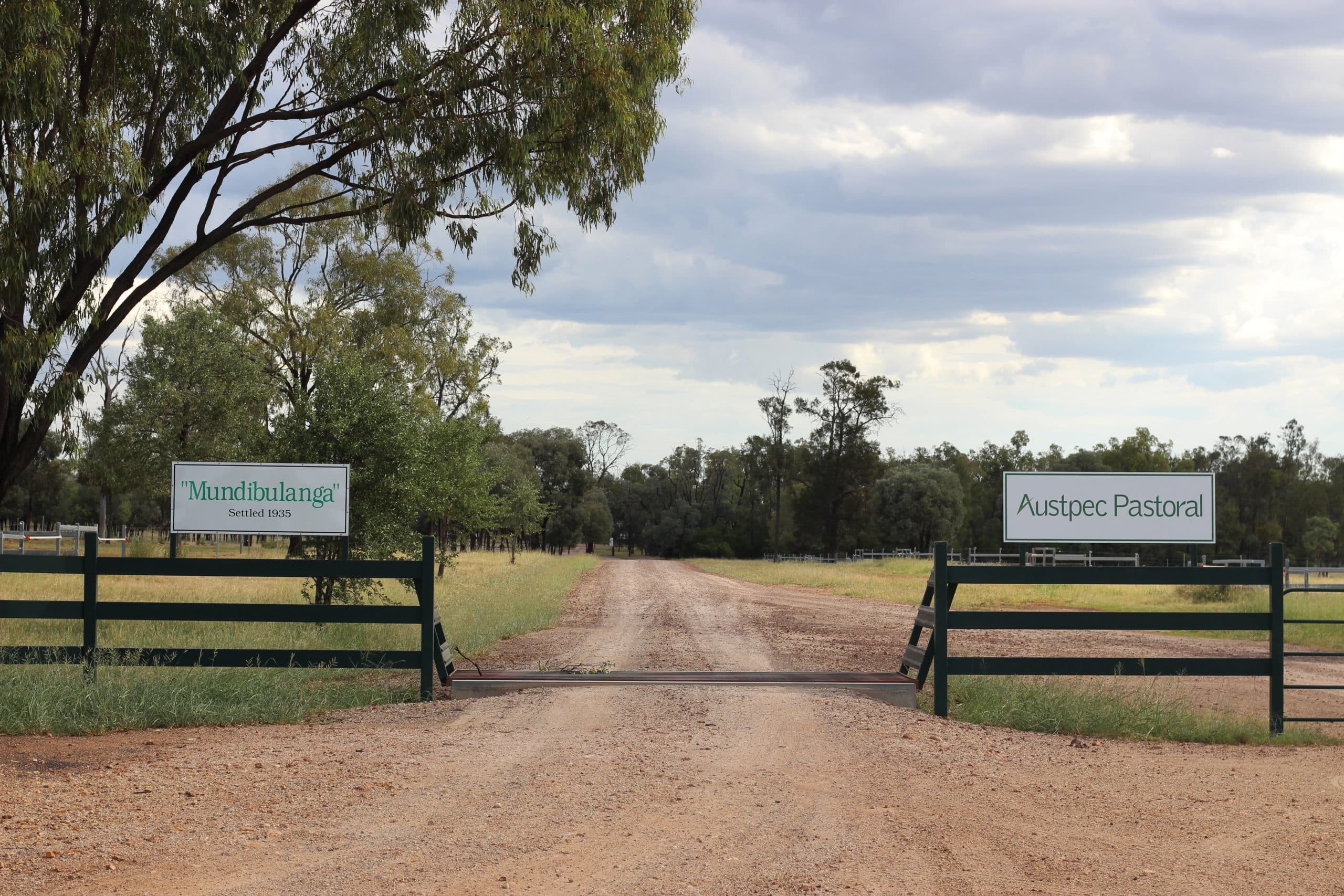 Wattlestone sells Wagyu operation