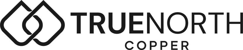True North Copper logo