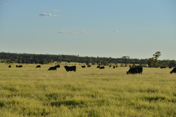 Austpec Pastoral